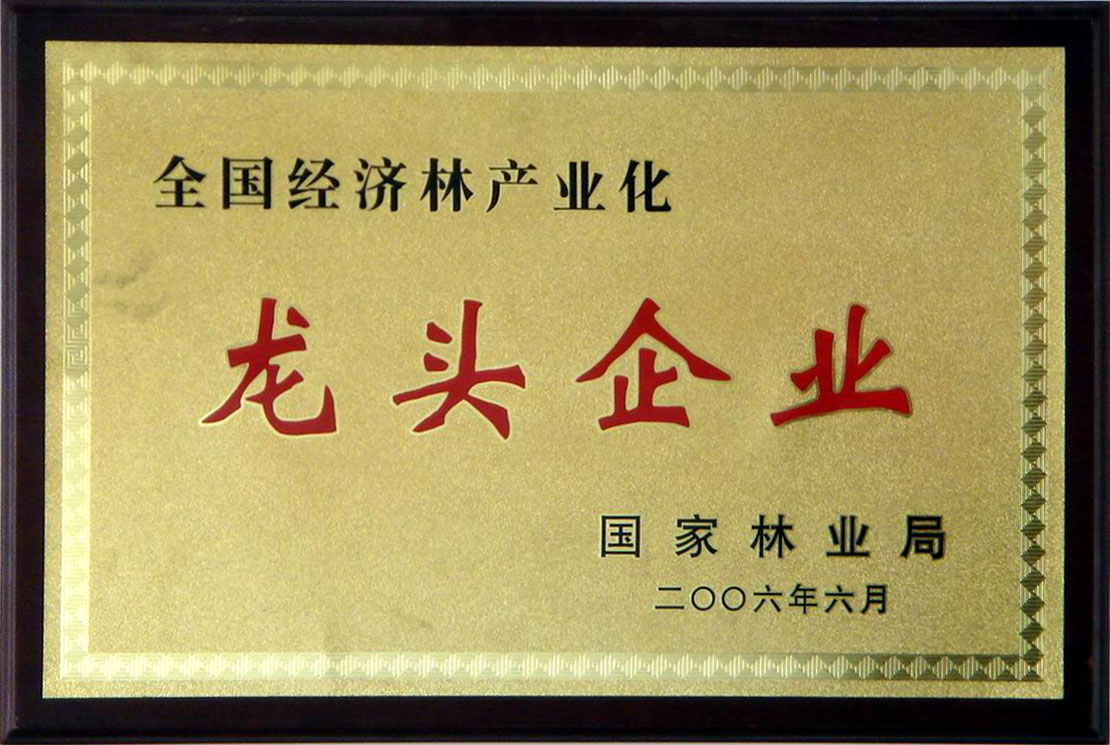 2006年國家林業(yè)局龍頭企業(yè) 2006年國家林業(yè)局龍頭企業(yè)