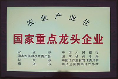 2012年泊頭東方 2012年泊頭東方