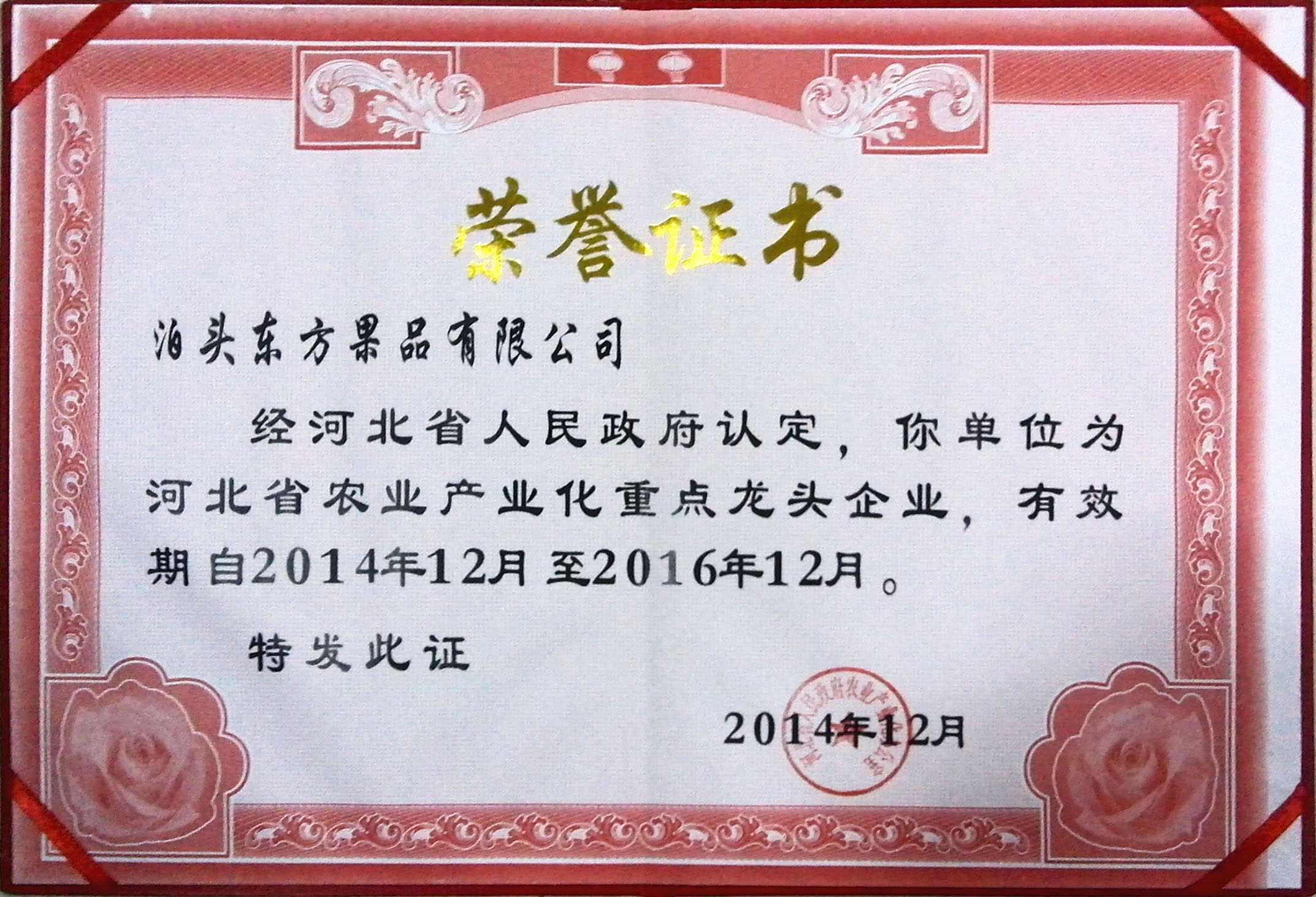 2014年省龍頭證書 2014年省龍頭證書