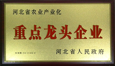 2014年省龍頭牌 2014年省龍頭牌