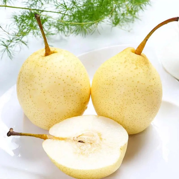 鴨梨 鴨梨